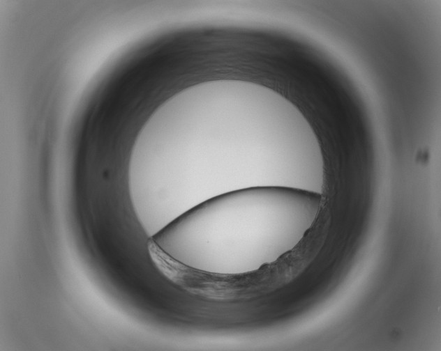 X0000114020143200910021025