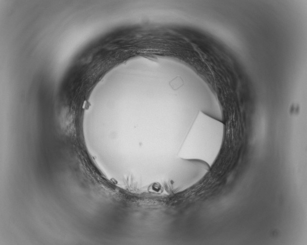 X0000114020146200910021024
