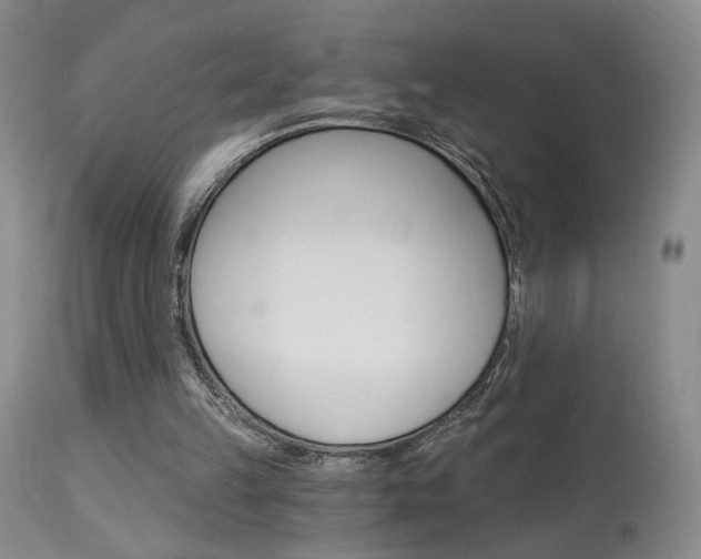 X0000114020149200910021024