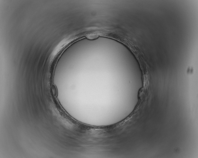 X0000114020150200910021024