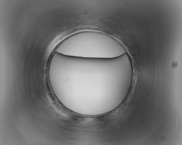 X0000114020151200910021024