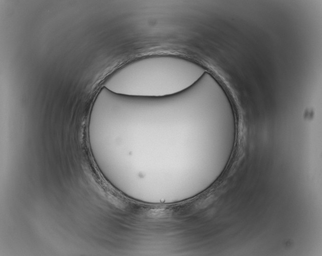 X0000114020153200910021024