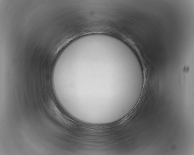 X0000114020154200910021024