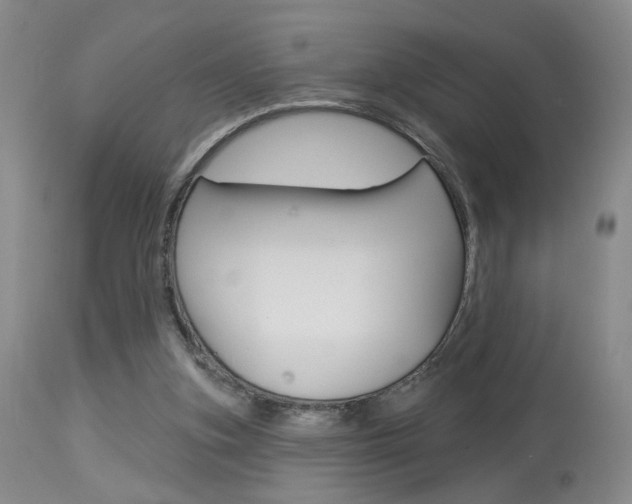 X0000114020155200910021024