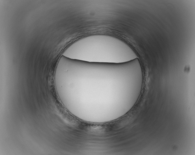 X0000114020161200910021025