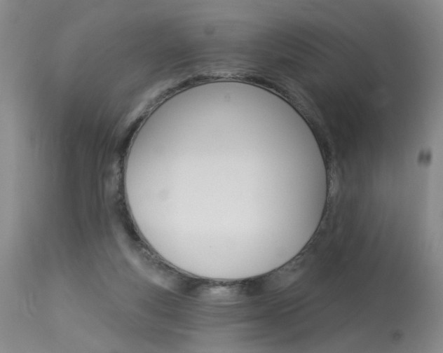 X0000114020163200910021025