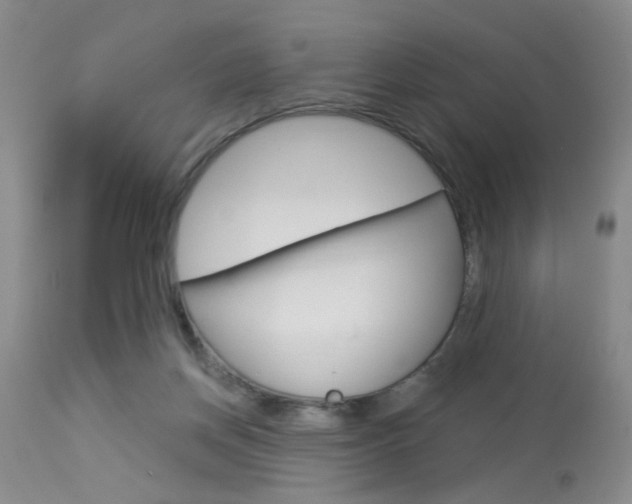 X0000114020166200910021025