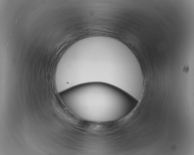 X0000114020174200910021025