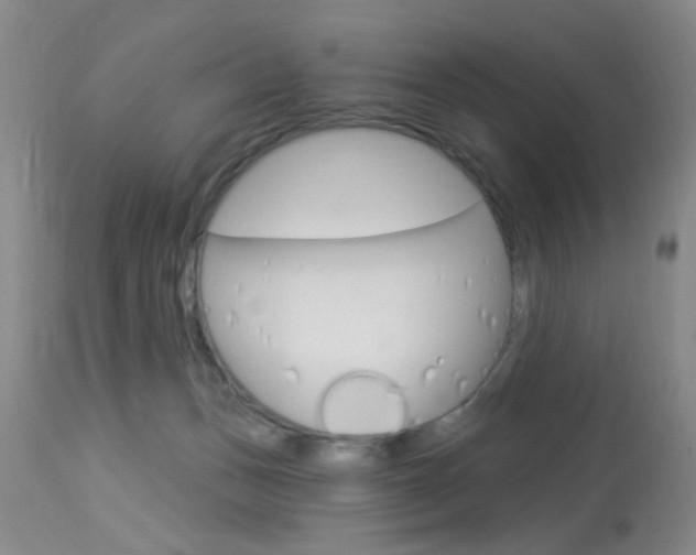 X0000114020175200910021025