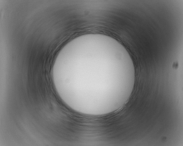 X0000114020176200910021025