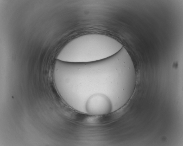 X0000114020178200910021025