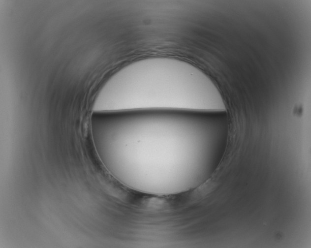 X0000114020180200910021025