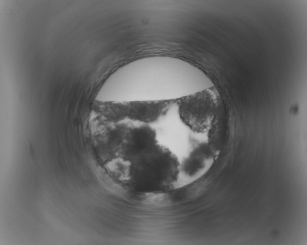 X0000114020185200910021025