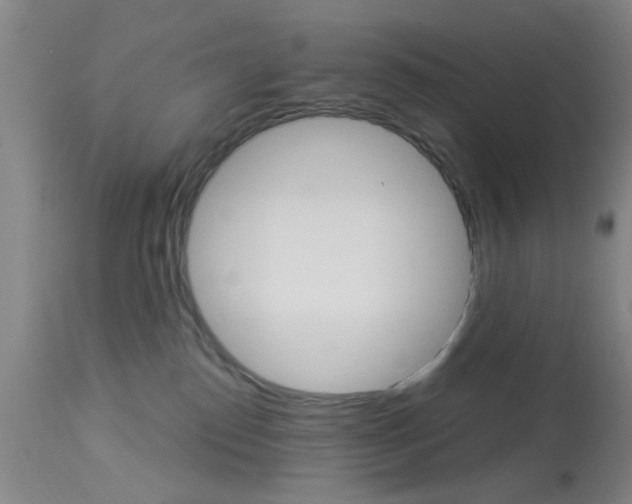 X0000114020186200910021025