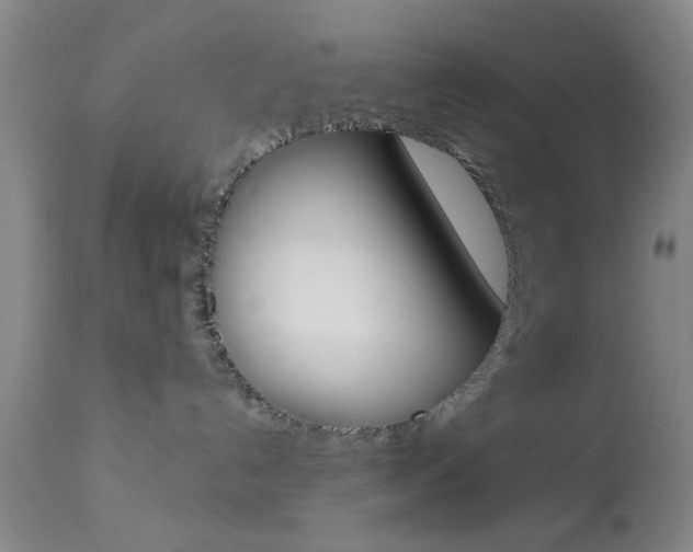 X0000114020192200910021025
