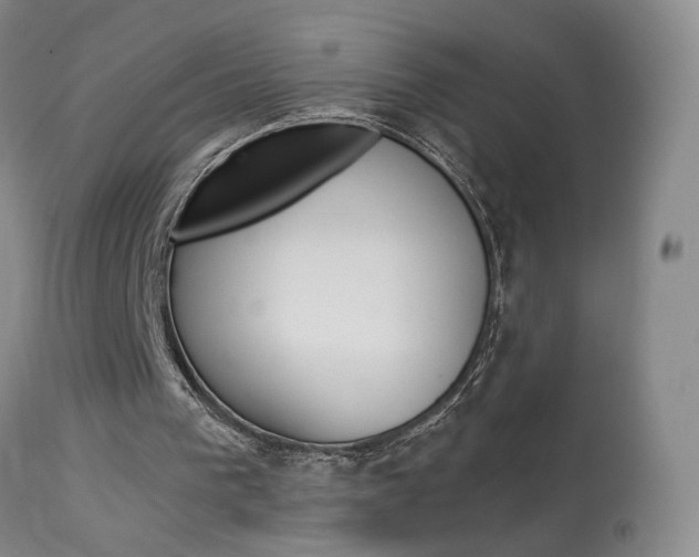 X0000114020193200910021024