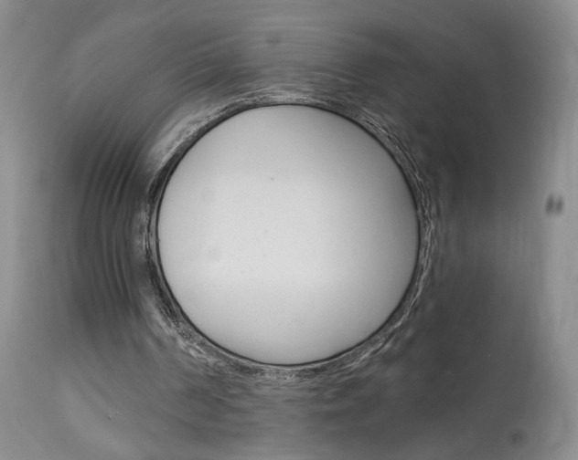 X0000114020194200910021024