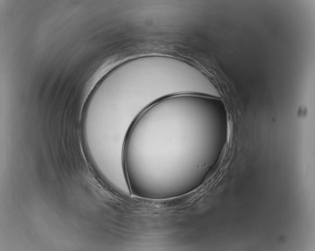 X0000114020195200910021024