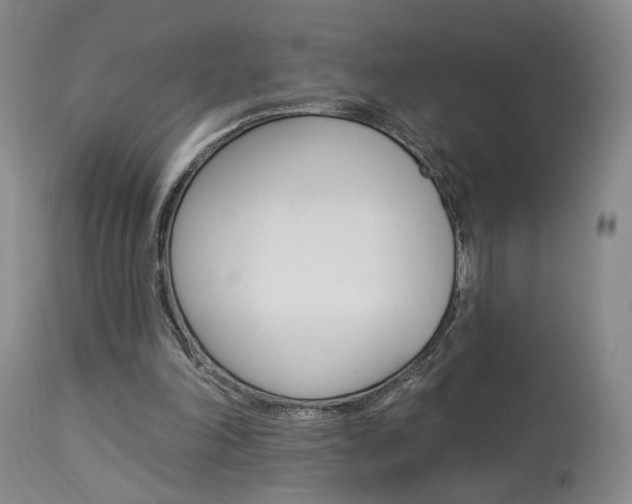 X0000114020198200910021024