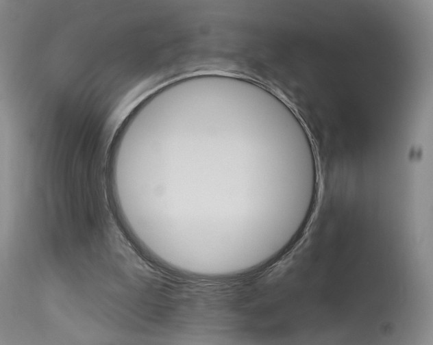 X0000114020199200910021024