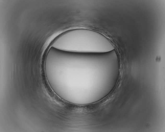 X0000114020200200910021024