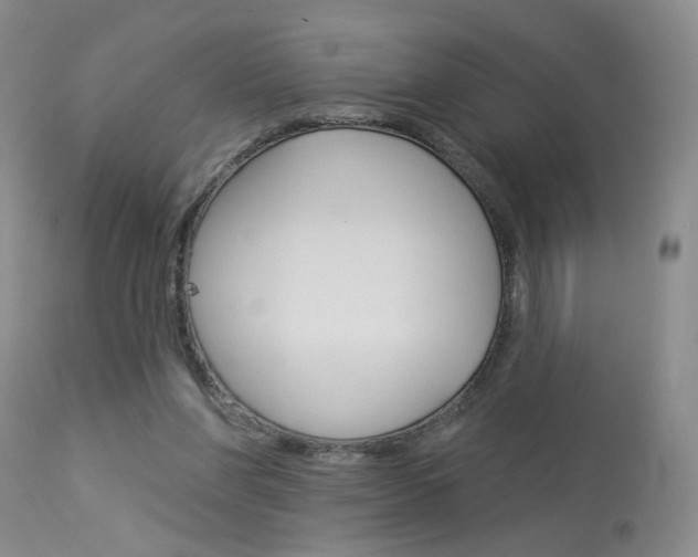 X0000114020206200910021024