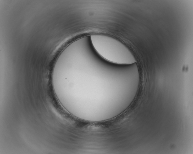 X0000114020208200910021024