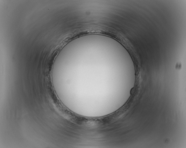 X0000114020209200910021024