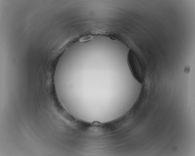 X0000114020211200910021024