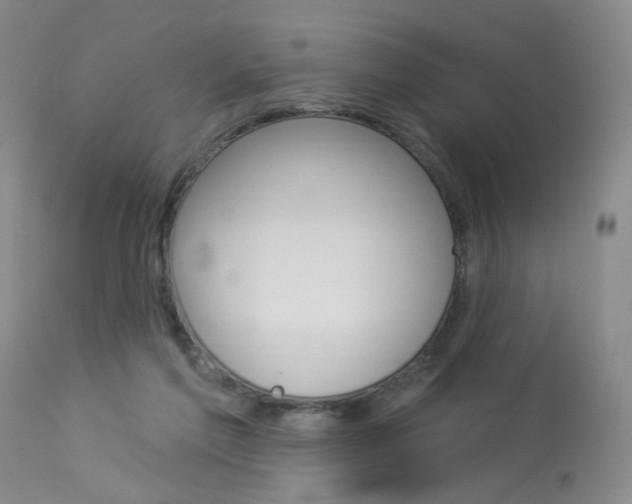 X0000114020213200910021024