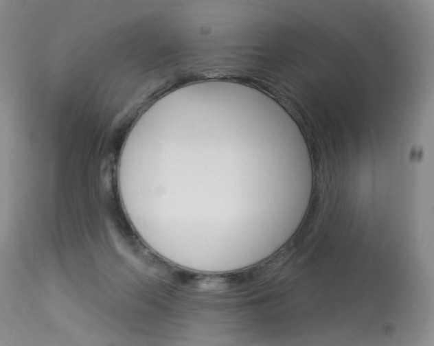 X0000114020214200910021024