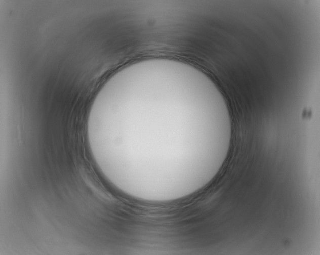 X0000114020215200910021024