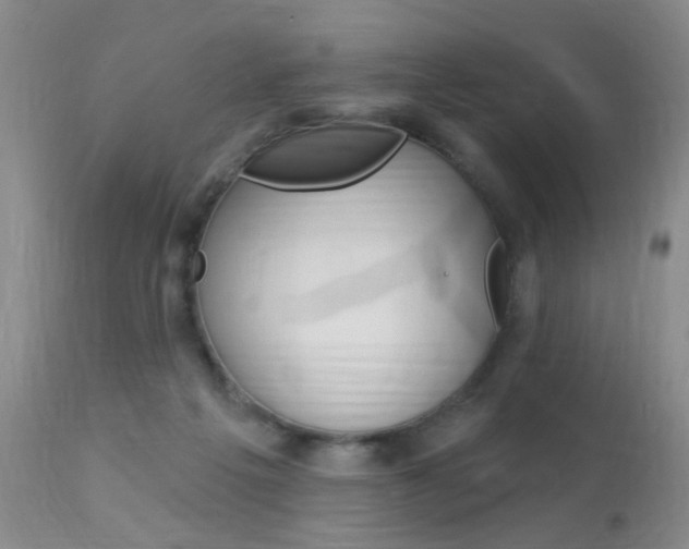 X0000114020217200910021024
