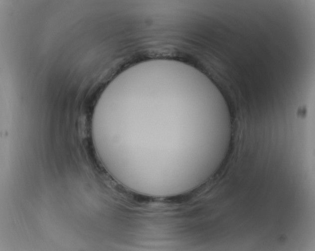 X0000114020224200910021024