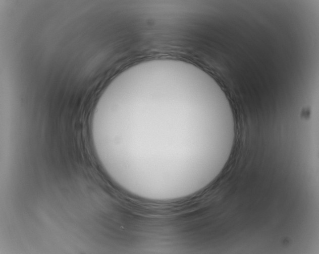 X0000114020225200910021024