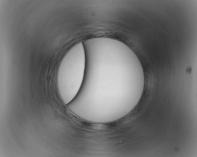 X0000114020226200910021024