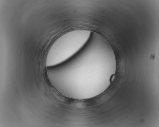 X0000114020228200910021024