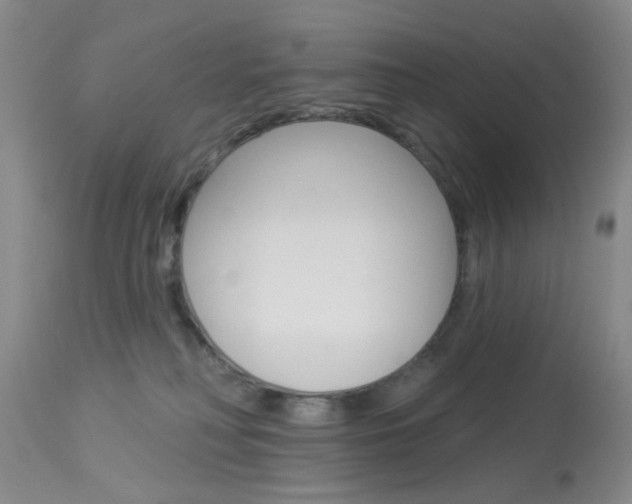 X0000114020230200910021023