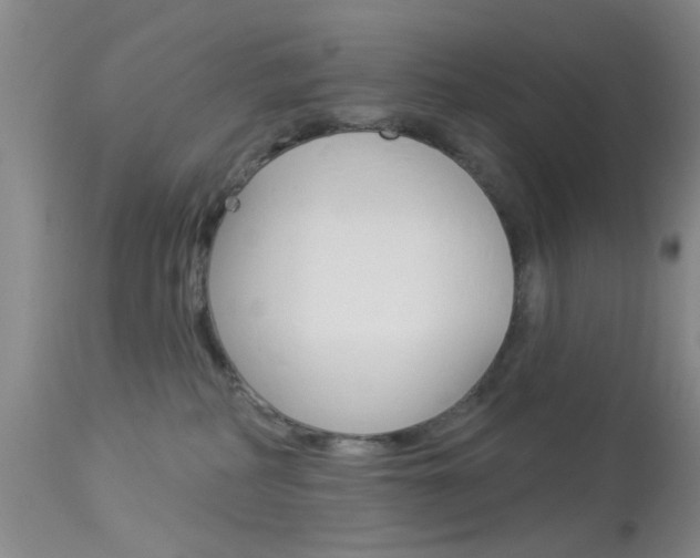 X0000114020234200910021023