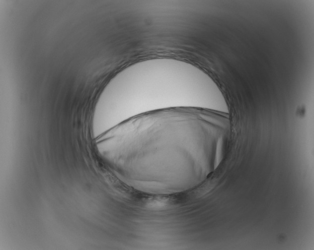 X0000114020235200910021023