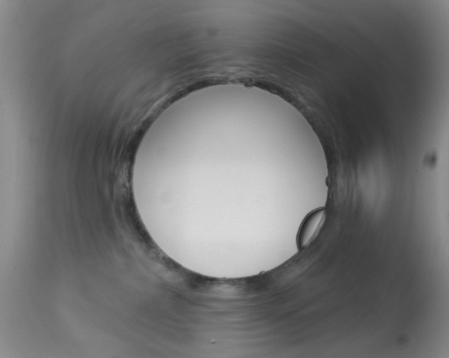 X0000114020236200910021023