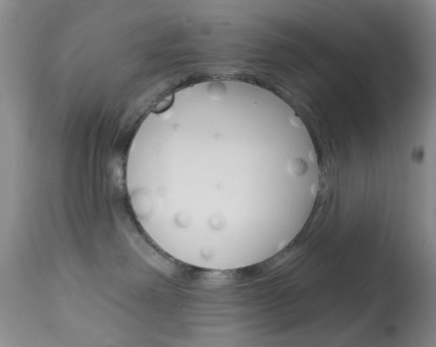 X0000114020238200910021023