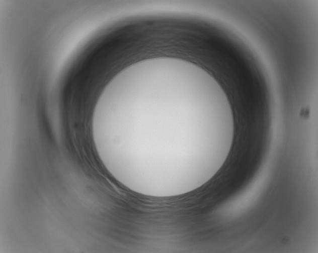 X0000114020239200910021023