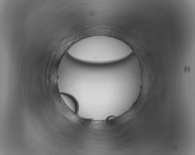X0000114020240200910021023
