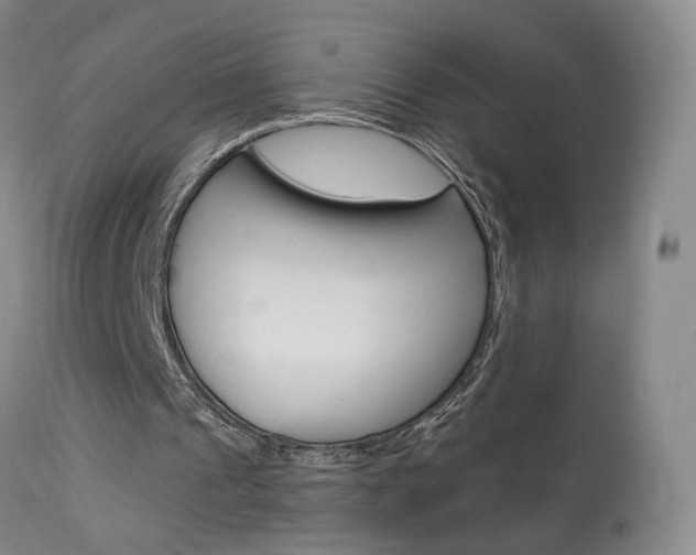 X0000114020241200910021023