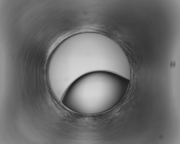 X0000114020244200910021023