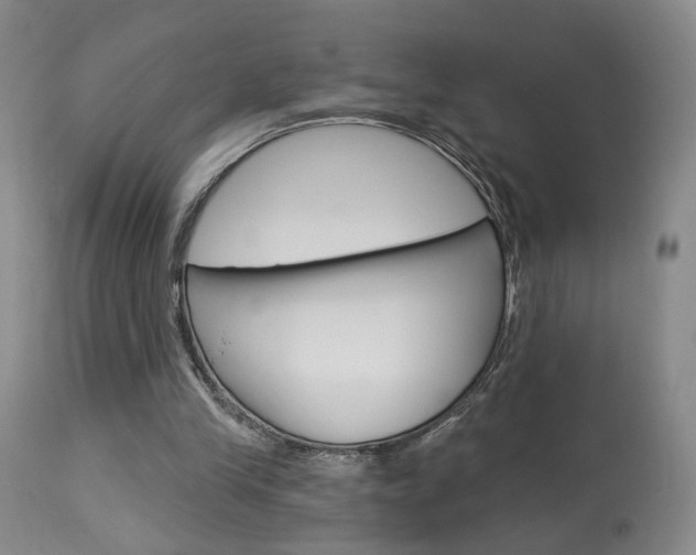X0000114020245200910021023
