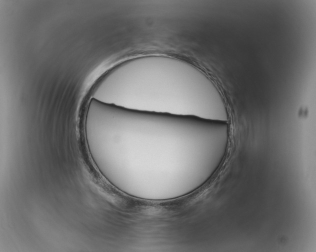 X0000114020246200910021023