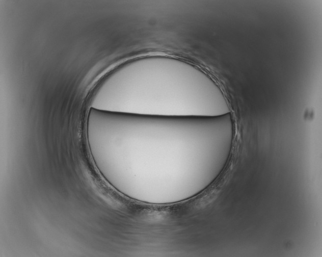 X0000114020247200910021023
