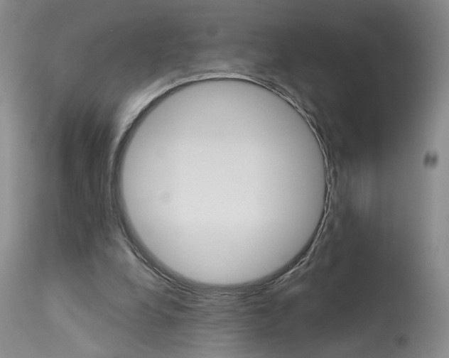 X0000114020248200910021023